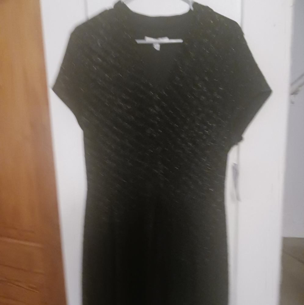 Womans NWT Sandra Darren dress